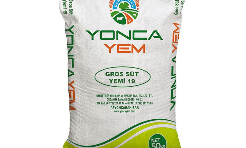 gros-sut-yemi