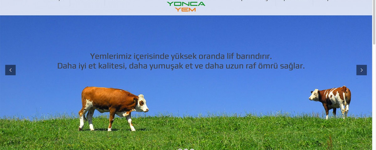 yeni-sitemiz