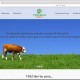 yeni-sitemiz
