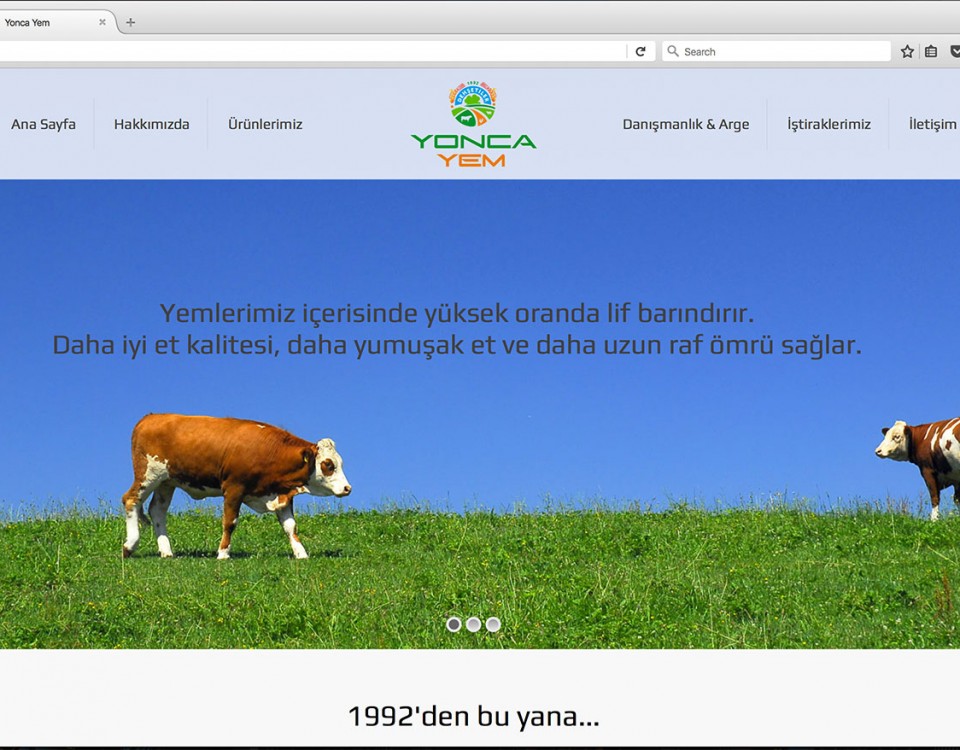 yeni-sitemiz