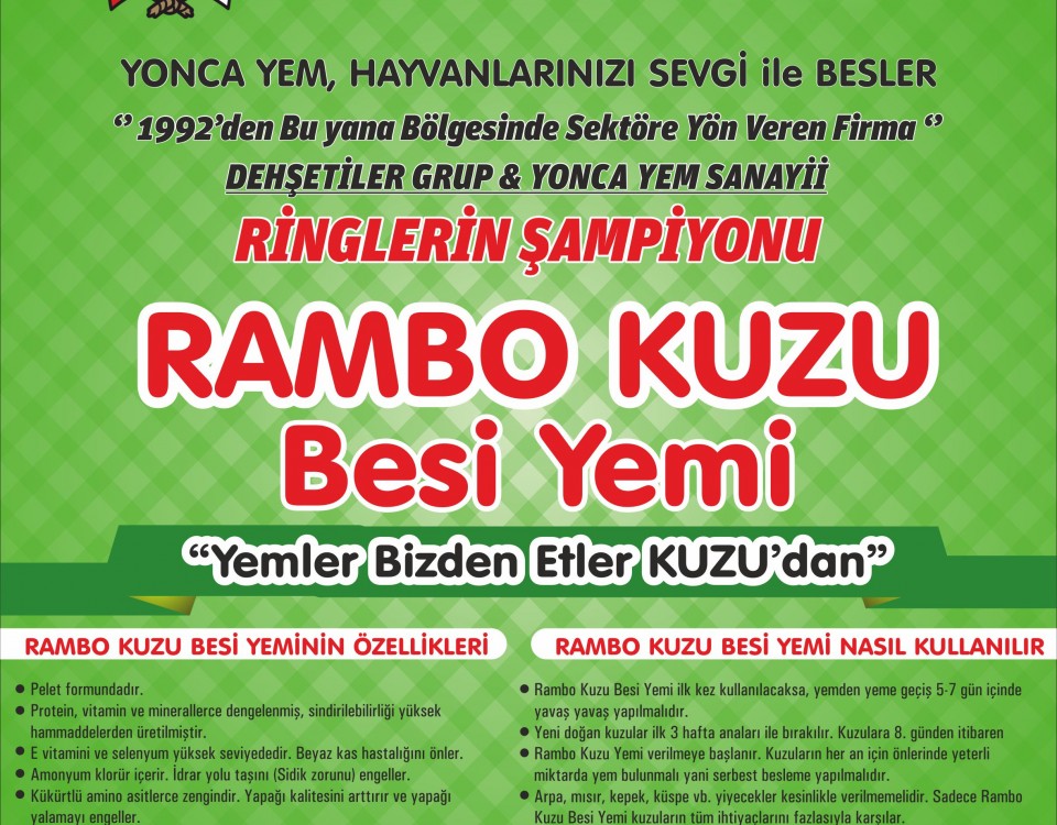 afiş