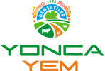 Yonca Yem